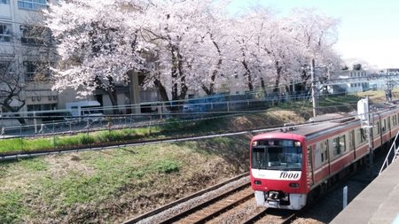 20190404103457_p.jpg
