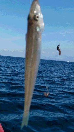 DSC_1475.jpg