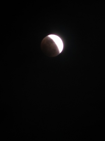 IMG_2627.jpg