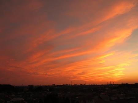 IMG_4781.jpg