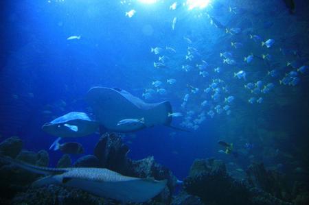 IMG_9439.jpg