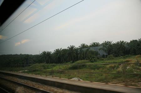 IMG_9466.jpg